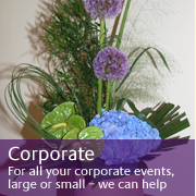 /Corporate.aspx