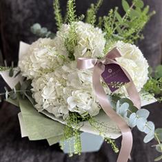Beautiful White Hydrangeas