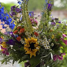 Summer Showstopper 