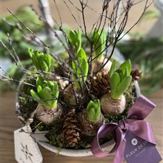 White Hyacinth  Planter