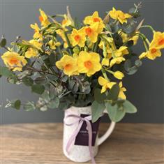  Isle of Scilly Narcissi  Jug