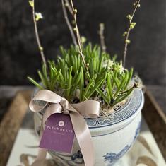 Vintage Blue Muscari Planter