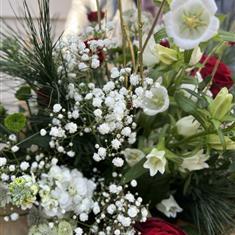 Dashing through The Snow 