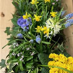 Woodland Casket Planter