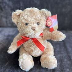 Brown Teddy Bear
