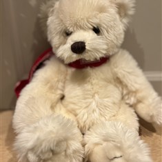 Beige Teddy Bear
