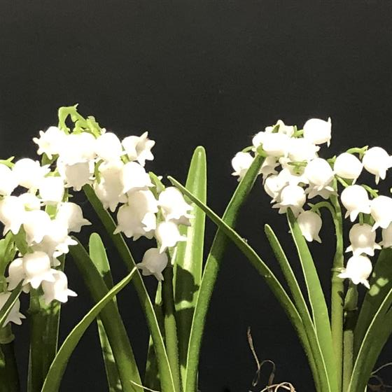 Faux Lily of the Valley Planter